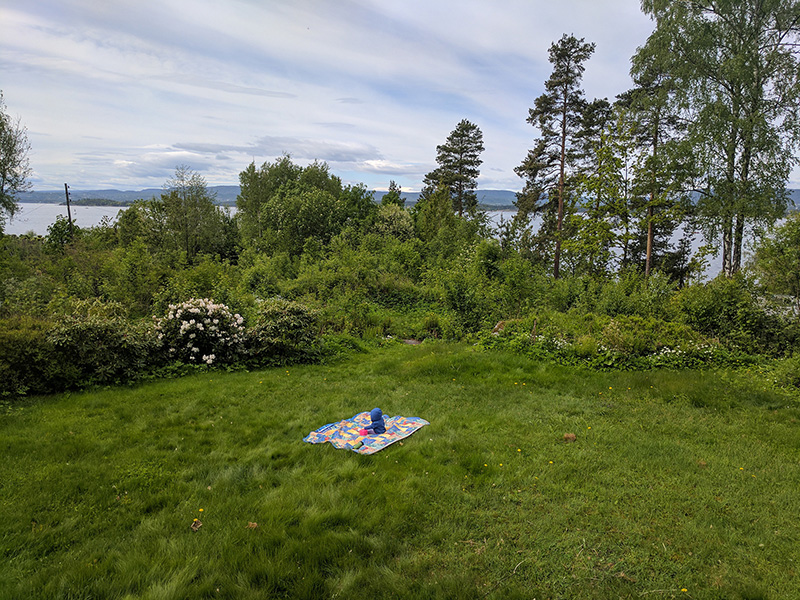 A baby sits on a carpet in the grass.